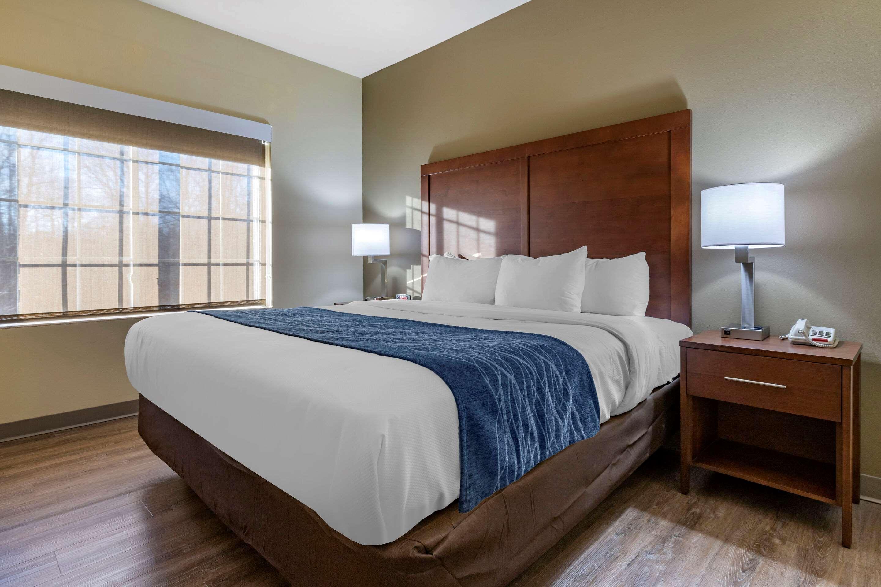 Comfort Inn & Suites High Point - アーチデール エクステリア 写真