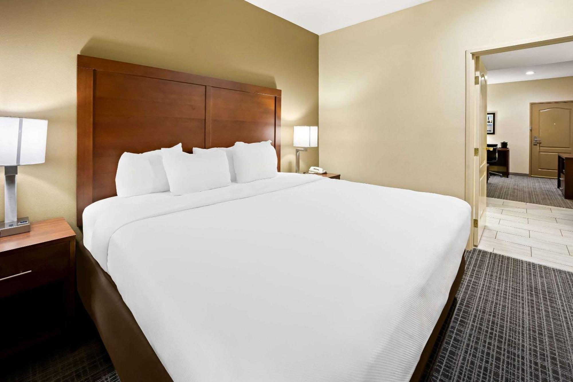 Comfort Inn & Suites High Point - アーチデール エクステリア 写真